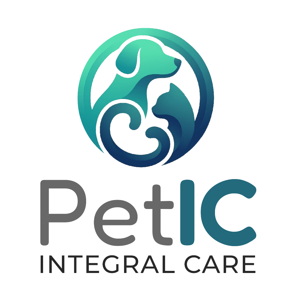 Petic